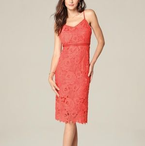 Bebe lacey dress